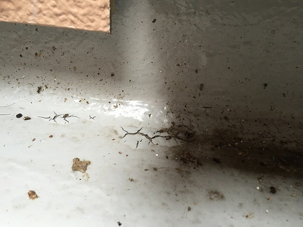 手抜き工事の被害